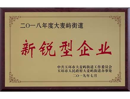 新銳型企業