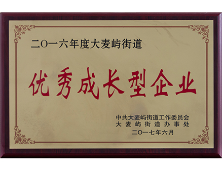 優秀成長型企業
