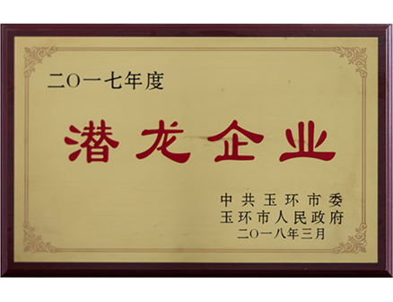 潛龍企業